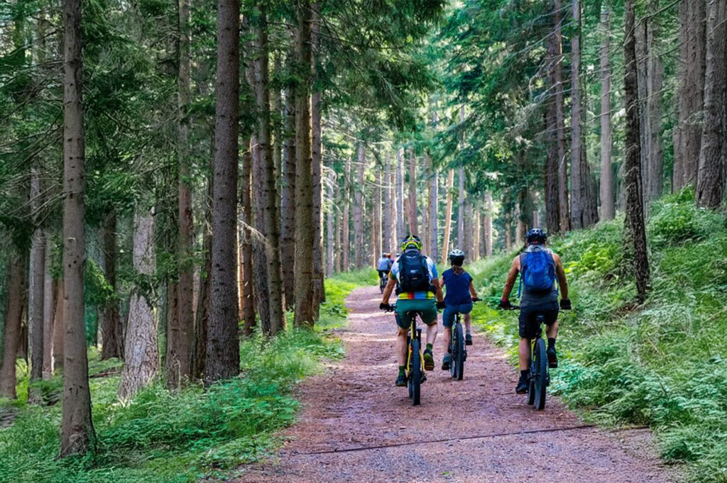 Cicloturisti pedalano lungo un sentiero nel bosco dell'Alpago, sulla Ciclovia Monaco-Venezia